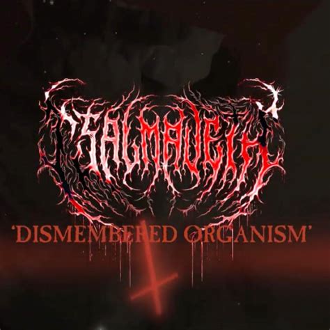 Tsalmaveth PA Release New Single and Visualizer 'The Inevitable End'