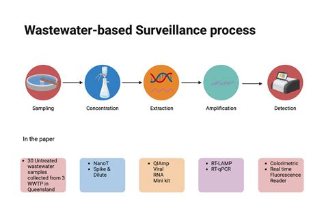 Wastewater Surveillance Unveil Brutal New Grindcore Offering 'Biohazard Backwash'