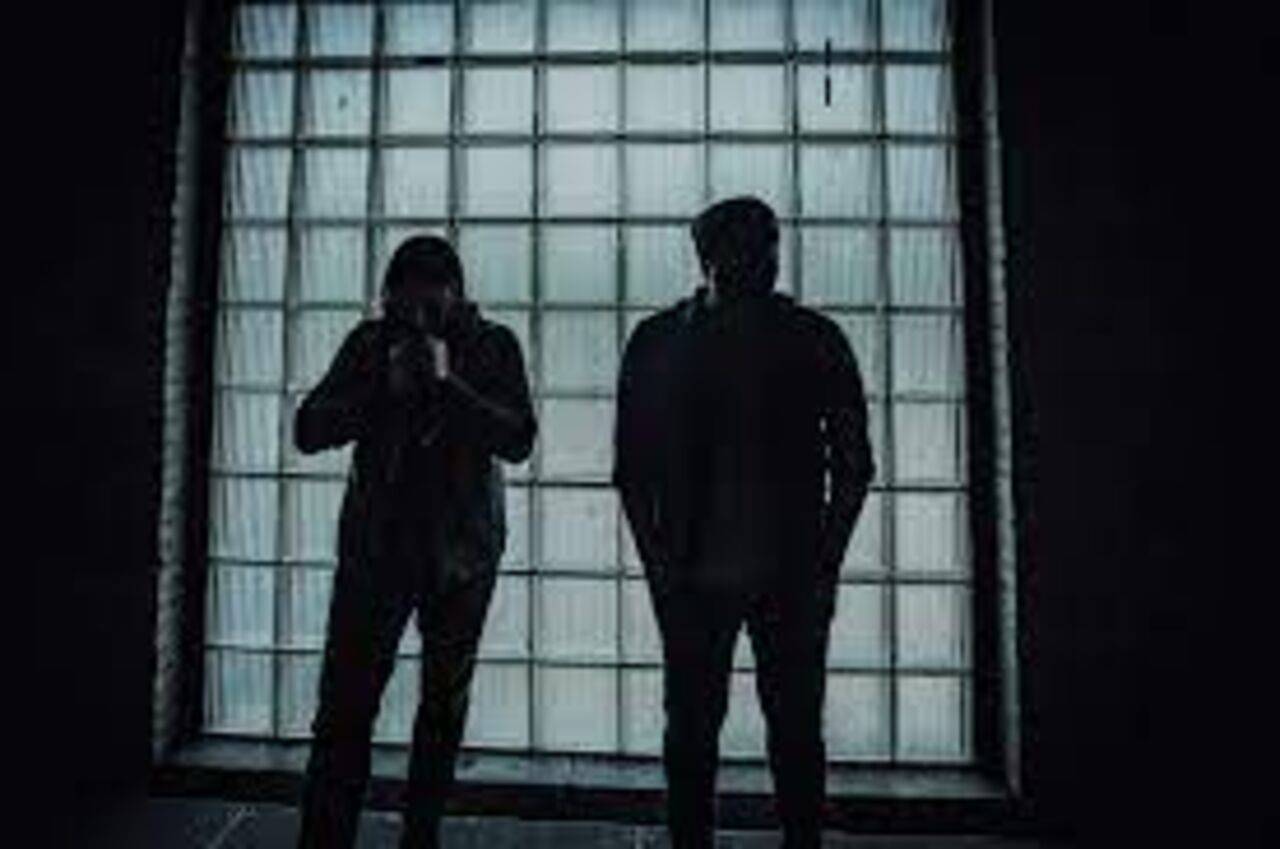 Orphantwin