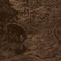 Of Stone Wind And Pillor