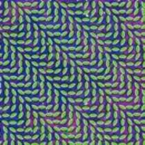 Merriweather Post Pavilion