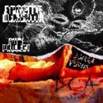 Ruin Project/Addicted Visions