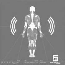The Sense Apparatus