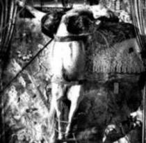 Split w/ Ictus