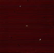 Swans EP