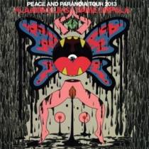Peace And Paranoia Tour 2013 (split avec Tame Impala)